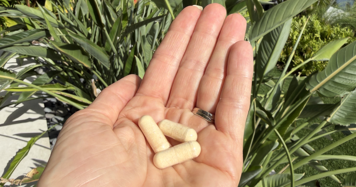 A hand holding three Modiv capsules in front of tropical plants